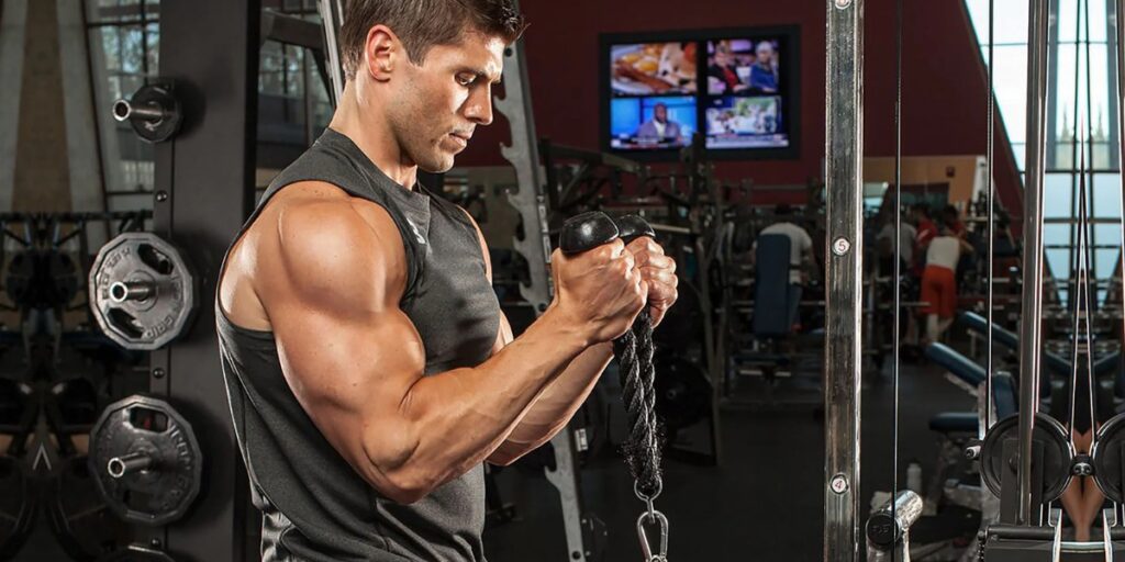 Cable Bicep Exercises