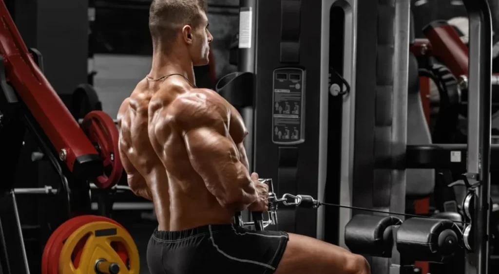 Lower Back Exercises Cable