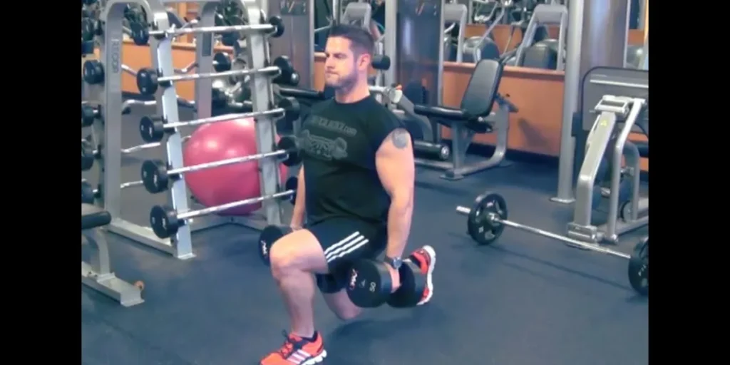 dumbbell bulgarian split squat