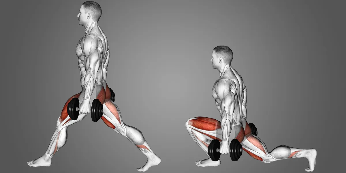 what muscle does bulgarian split squat work